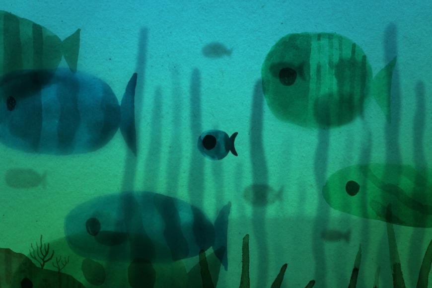 Filmstill Cloud Fish