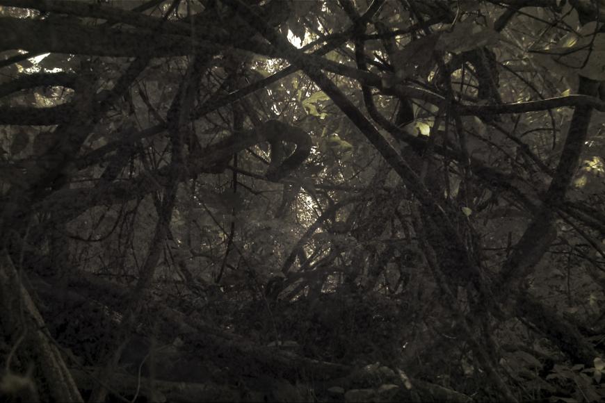 Filmstill Tales from the Source