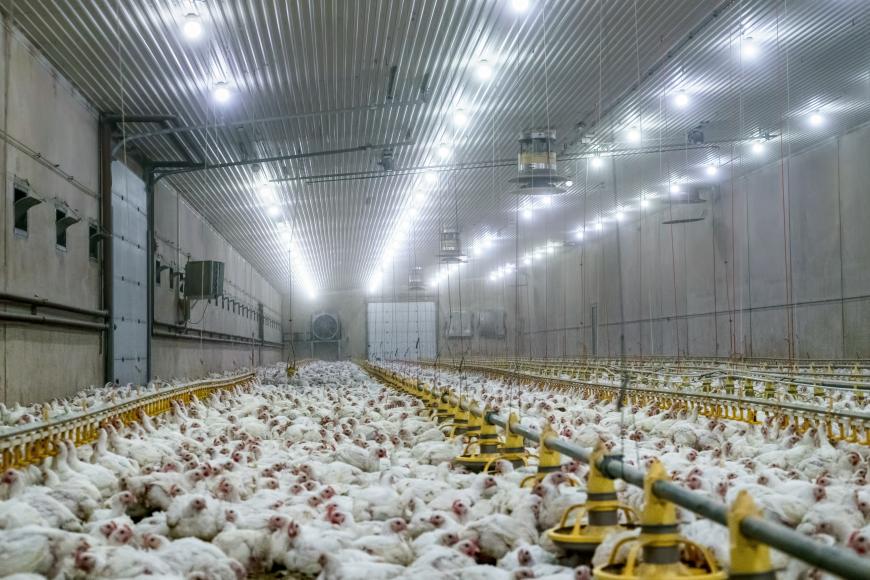 Media Name: c5d929e1-908a-424e-8a5c-96577c8c2c60.jpg