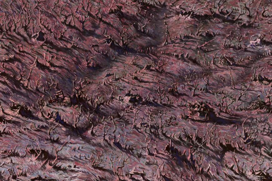 Media Name: cabb444b-a012-43da-b8a4-a3de3be1de4e.jpg