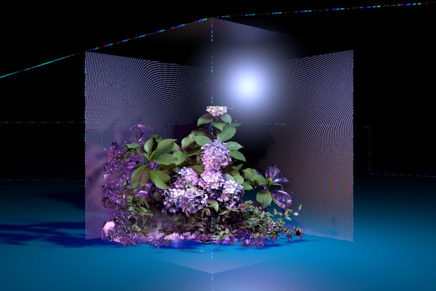 Filmstill Floralia II