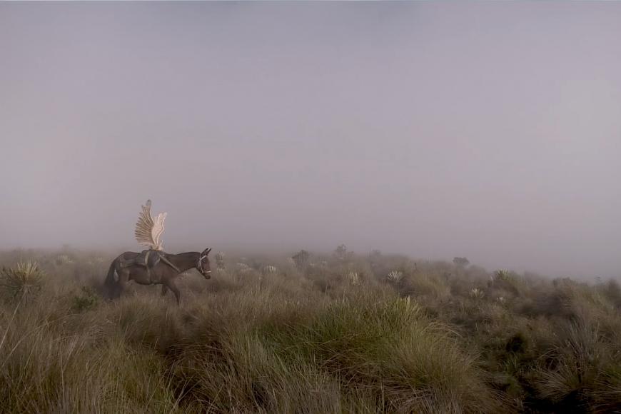 Media Name: cb264e6d-cf30-401b-b3d7-c41e370dc5d7.jpg