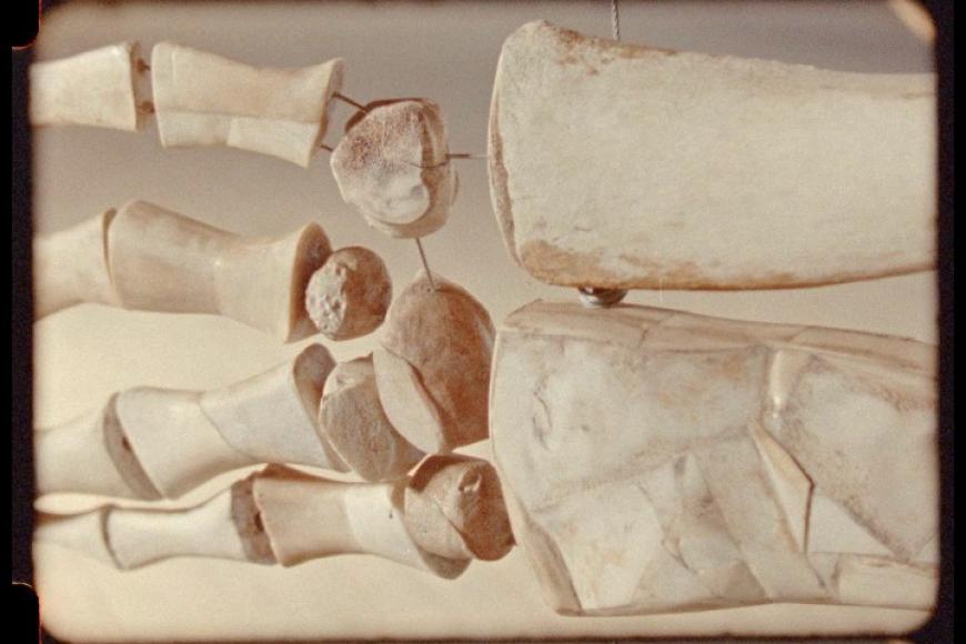 Filmstill Fossil Matter
