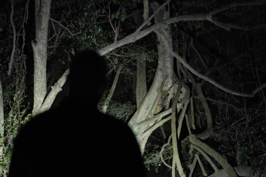 Filmstill Around Paradise