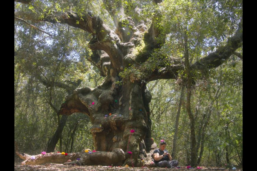 Filmstill Valentina and the MUOSters