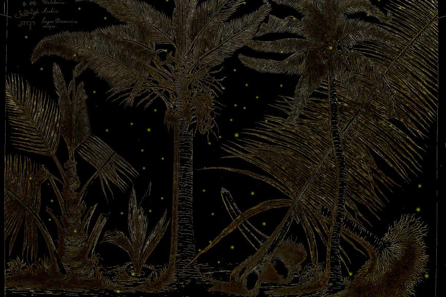 Filmstill Days That Smell Like Fresh Sago