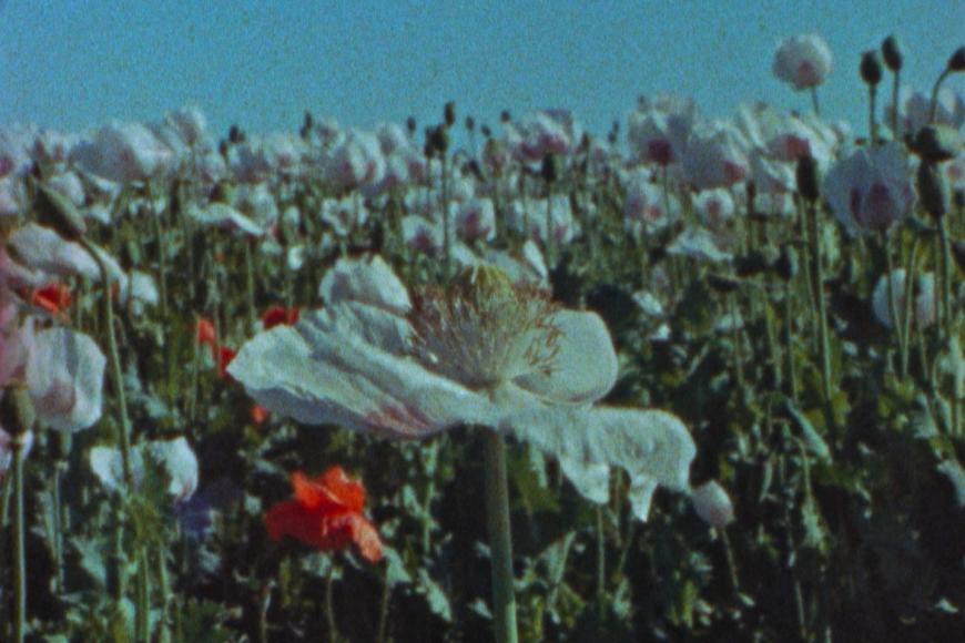 Filmstill Apocalypse Yesterday, Today, Tomorrow, and the Day After Tomorrow