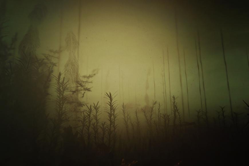 Media Name: f2ecd361-3a54-4677-81e5-ec1ae0dc2691.jpg