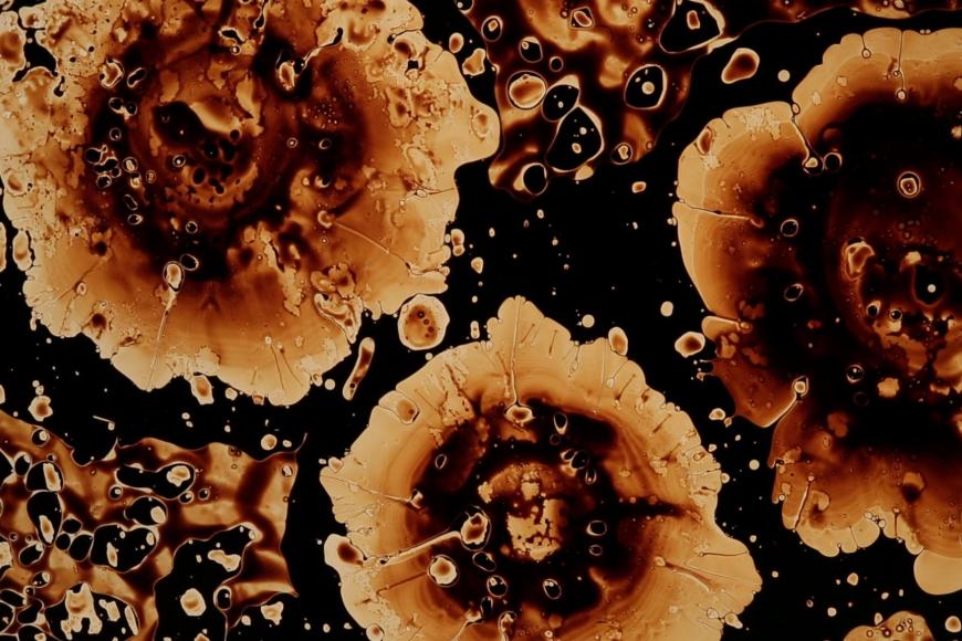 Filmstill Chrysopoeia