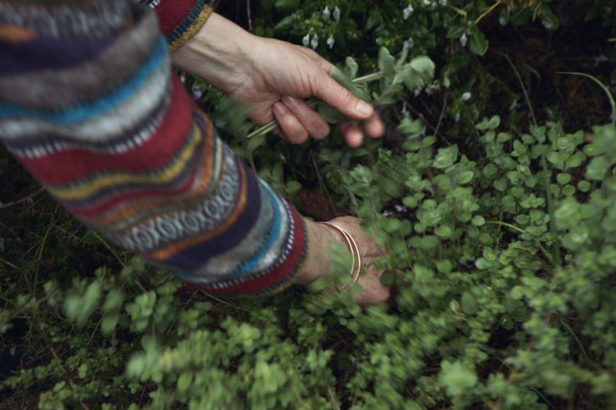Filmstill Foragers